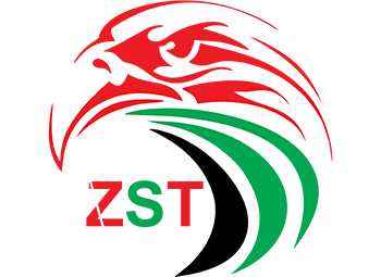 ZST Transport By Heavy and Light Truck